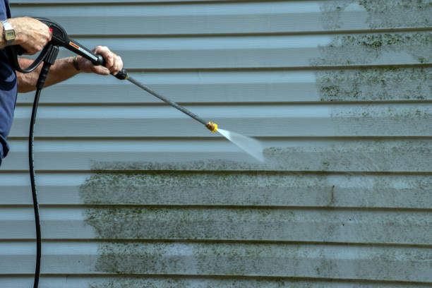 Best Exterior Home Cleaning  in Paw Paw, MI