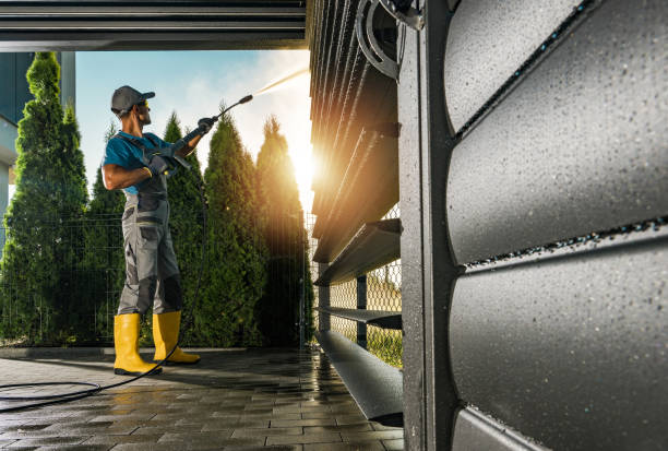 Best House Pressure Washing  in Paw Paw, MI