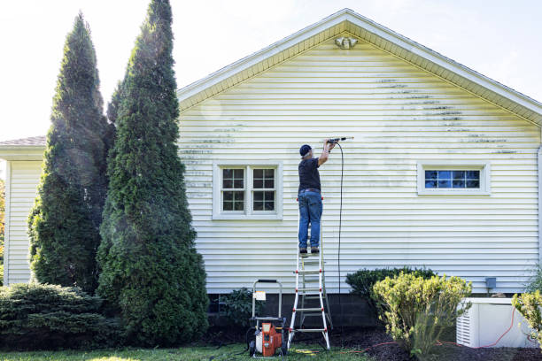 Best Deck Pressure Washing  in Paw Paw, MI