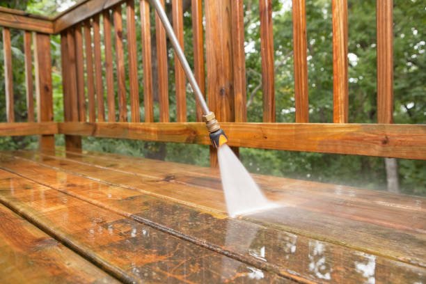 Best Roof Pressure Washing  in Paw Paw, MI